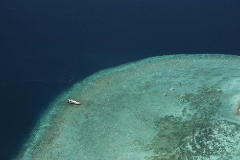 Lia Pascaniuc_le trasformazioni irreversibili_lia pascaniuc _edited-1