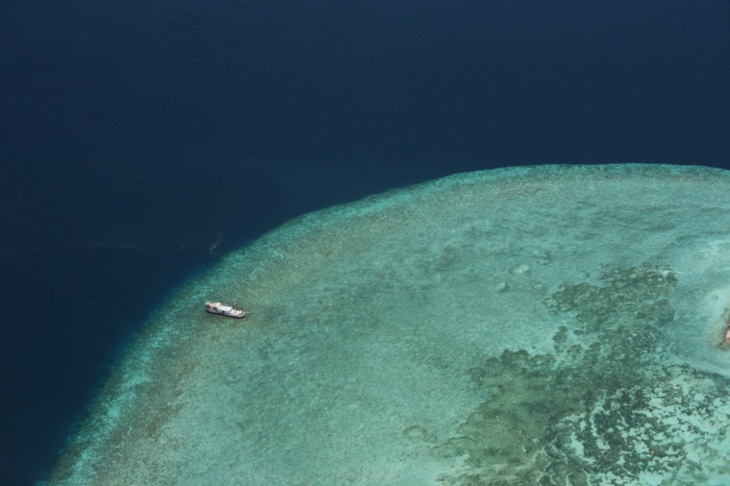 Lia Pascaniuc_le trasformazioni irreversibili_lia pascaniuc _edited-1