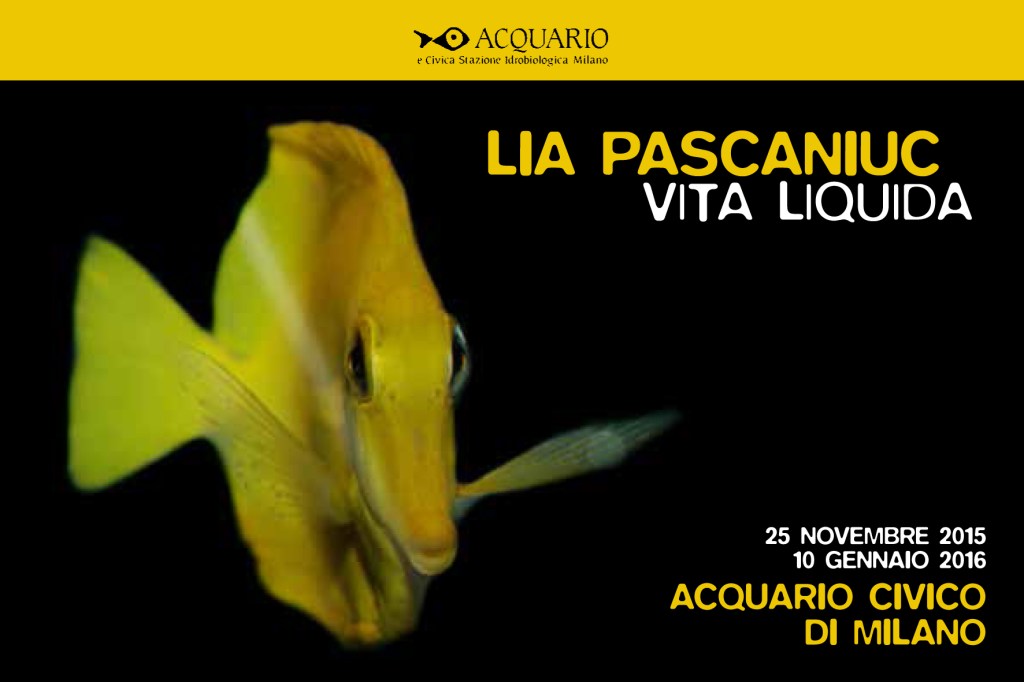 PASCANIUC cartolina 10x15-1